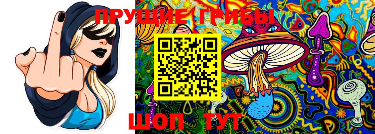 Псилоцибиновые грибы Psilocybine cubensis  Галлюциногенные грибы GOLDEN TEACHER  даркнет сайт  Горячий Ключ  Вход с VPN 